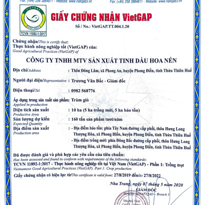 Tinh dầu Tràm Huế nguyên chất 3ml - Hoa Nén - Chuẩn VietGAP - Vegan - Chăm sóc sức khoẻ mẹ và bé