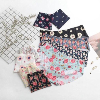 Set 5 Quần Lót Đúc Su Điều Hòa Thông Thoáng HM11