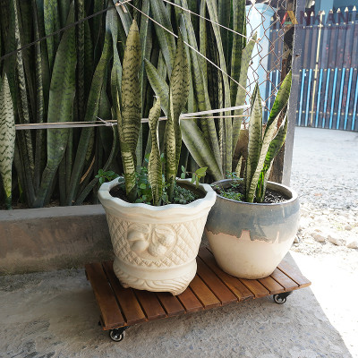 Kệ Gỗ Di Động ANKAN - Chịu Lực 150Kg, Di Chuyển Dễ Dàng, Thích Hợp Chậu Cây Và Trang Trí Nhà Cửa