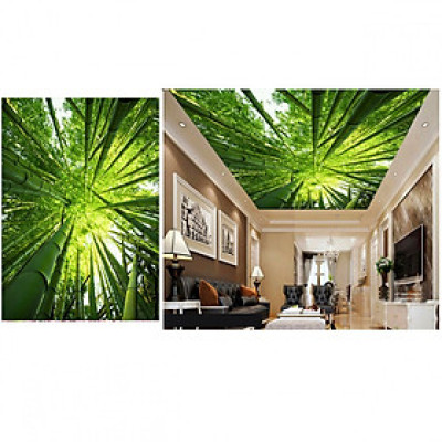 Tranh dán trần 3d bầu trời tre xanh TN71