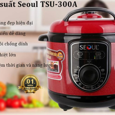 NỒI ÁP SUẤT ĐIỆN SEOUL TSU-300A Hàng chính hãng