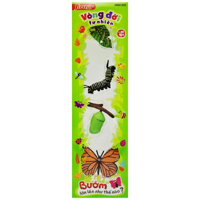 Đồ Chơi Mô Hình Vòng Đời Tự Nhiên - Bướm Lớn Lên Như Thế Nào? - Firstar DK81253