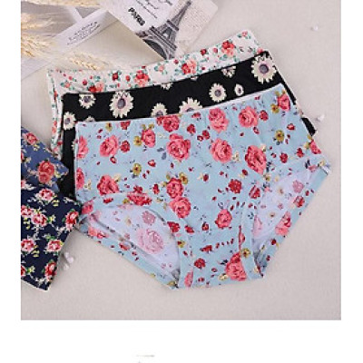  Combo 10 Quần Lót Đúc Điều Hòa HM11 Thông Thoáng 