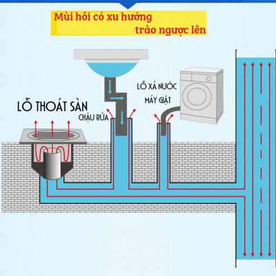 Bộ thoát nước máy giặt, thoát nước thải, nước thoát sàn nhà tắm, vệ sinh kiêm chống mùi hôi, ngăn côn trùng trào ngược – Bộ chia 3, MIHOCO 31