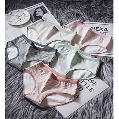 Combo 5 Quần lót cotton thun co giãn thời trang QL 8138