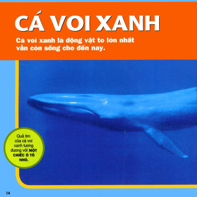 Cuốn Sách Lớn Đầu Tiên Của Tớ - Đại Dương - Bìa Cứng (Tái Bản 2024)
