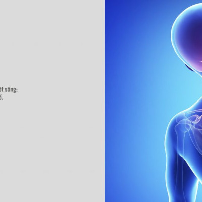 Gối nằm Cao Su Thiên Nhiên  Honey Nơ Vạn Thành 38x53x10cm-Êm ái-đàn hồi.