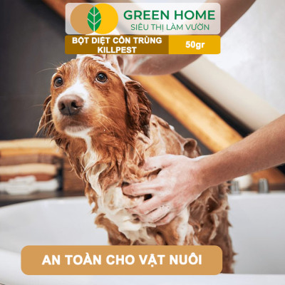 Bột Phấn Kiến KillPest Vipesco, GreenHome, Gói 50gr, Hiệu Quả Cao, Diệt Trừ Bọ Chét, Kiến, Gián