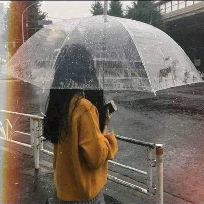 Ô  Dù Trong Suốt Che Mưa Thời Trang Chụp Ảnh Sống Ảo, Dù Chắc Chắn Độ Bền Cao