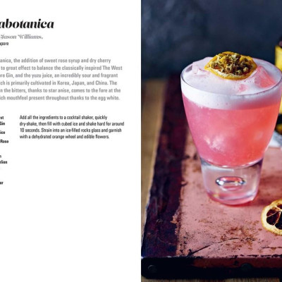 Sách - How to Fix the Perfect Cocktail - 50 classic coc by Adam Elan-Elmegirab (US edition, Hardcover Paper over boards)