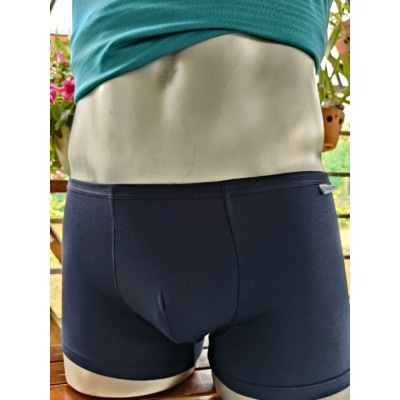 Quần Lót Nam Thương Hiệu Davie DVBX030 Lưng Bản Nhỏ 1.5 Co Giãn 4 Chiều, Thoải Mái Và Thấm Hút Mồ Hôi