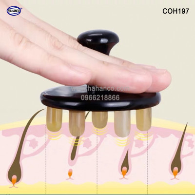 Lược sừng MÁT XA toàn thân đa năng (COH196) Làm đẹp / thư giãn / giúp lưu thông khí huyết - Chăm sóc sức khỏe