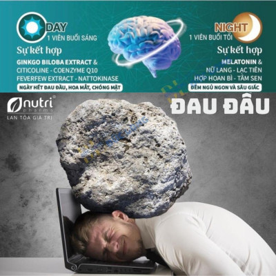 Bổ não Ginkgosato sasuka pharma, viên uống bổ não, tuần hoàn máu não, Hộp 2 lọ x 30 viên – Đức Long