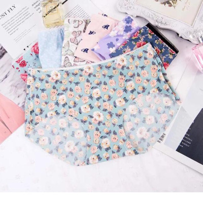  Combo 10 Quần Lót Đúc Điều Hòa HM11 Thông Thoáng 