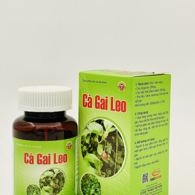 Cà gai leo - Năng Động - giải độc gan, giảm mề day, vàng da