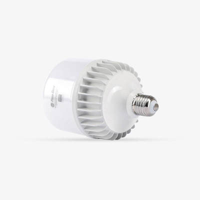 Bóng đèn Rạng Đông LED BUL Trụ Nhôm Đúc 30W Model: TR100NĐ2/30W.H