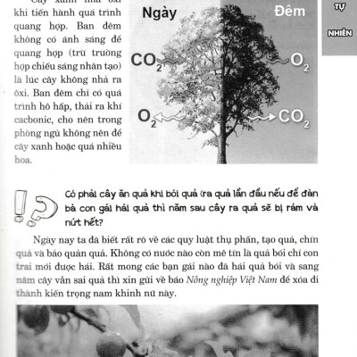 Hỏi Đáp Về Mọi Chuyện - Khoa Học Tự Nhiên, Khoa Học Xã Hội, Sức Khỏe - Đời Sống - HNB