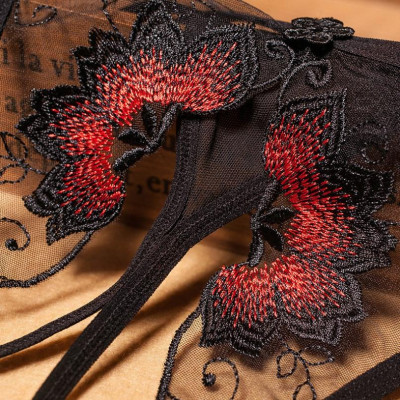 Quần chip không đáy siêu khiêu gợi