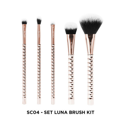 SC04 - BỘ KIT 5 CỌ CƠ BẢN VACOSI, PHIÊN BẢN GOLDEN DRAGON - LUNA THE FACE & EYES BRUSH KIT, 5PCS