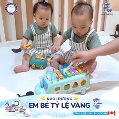 Đồ chơi Xe bus thả hình khối kết hợp đàn gõ Xylophone Bioamicus