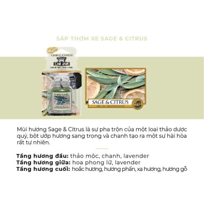Sáp thơm xe Yankee Candle - Sage & Citrus