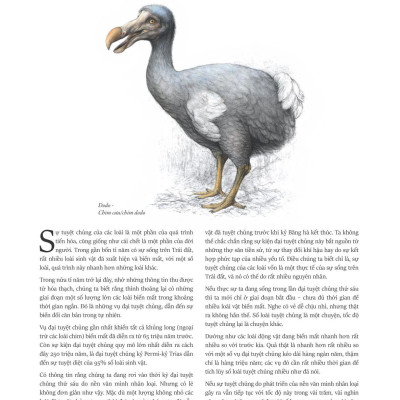 Atlas Các Động Vật Nổi Danh Đã Tuyệt Chủng