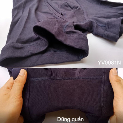 Quần sịp đùi 100% cotton kháng khuẩn khử mùi YG YV0081N của Nhật