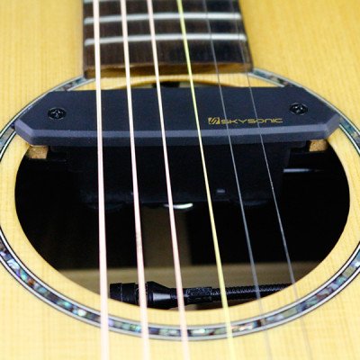 Bộ Thu Âm Acoustic Guitar Pickup Skysonic T-902