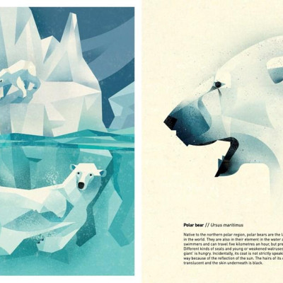 Sách - Wild Animals of the World by Dieter Br.aun (UK edition, hardcover)