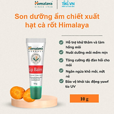 Son Dưỡng Môi Chiết Xuất Cà Rốt Và Mầm Lúa Mạch Himalaya Herbals (10g)