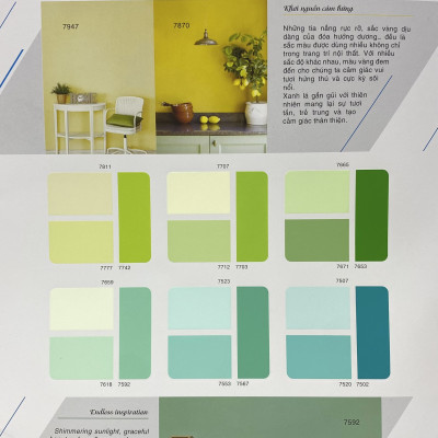 Sơn phào chỉ cho trần nhà Toa 4 Seasons Top Silk  màu B- 8096 _1L