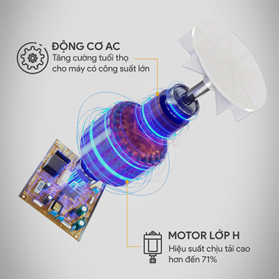 Máy xay nấu đa năng Bluestone BLB-6038 - Hàng chính hãng