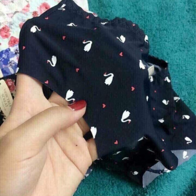 Combo 5 quần chip su hoa điều hòa, mịn mát (màu ngẫu nhiên)