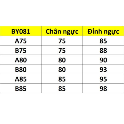 ÁO BOYA DÀY REN HOA BABY BY081