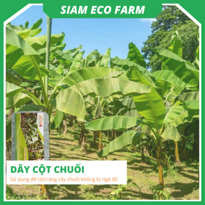 Dây cột chuối (sợi se nông nghiệp) 434m/cuộn hiệu con và vàng