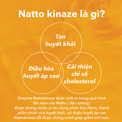Viên Uống Phòng Ngừa Đột Quỵ, Bổ Não, Giúp Ngủ Ngon Nattokinase 3000FU Natto Ichou Genki Fami Nhật Bản Túi 30 Viên
