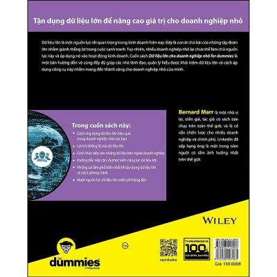 Sách - Dữ Liệu Lớn Cho Doanh Nghiệp Nhỏ For Dummies - Thái Hà Books