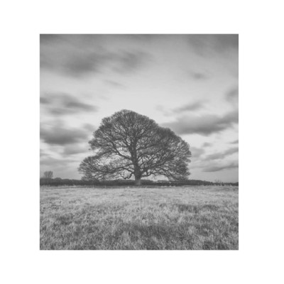 Chúng Ta Làm Gì Với Trái Đất?