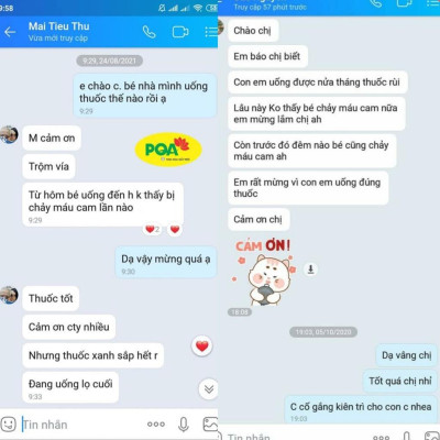 Chỉ Huyết PQA Thành Phần Từ Thiên Nhiên Hỗ Trợ Thanh Nhiệt, Cầm Máu Và Hạn Chế Chảy Máu Cam Hộp 250ml