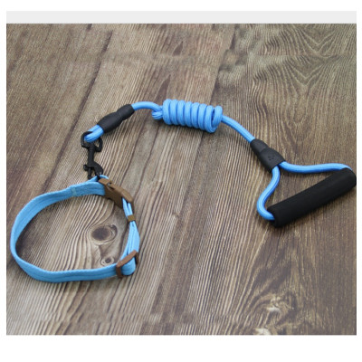 Dây Dắt Chó Mèo Có Tay Xốp Trợ Lực Kèm Vòng Cổ ZiChen Dài 1,2m