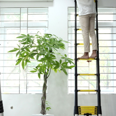 Thang nhôm rút gọn SUMIKA SKS380 - Chiều cao tối đa 3.8m, sơn tĩnh điện, chống trầy xước, khóa chốt cao cấp, đế cao su chống trượt, bậc thang diện tích rộng, nhỏ gọn, tiện lợi di chuyển