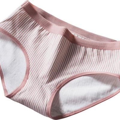 Combo 5 Quần lót cotton thun co giãn thời trang QL 8138