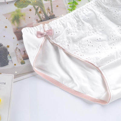 Quần Lót Cotton Retro Eo Giữa Hoạ Tiết Thêu Tinh Tế Hàng Cao Cấp WL82