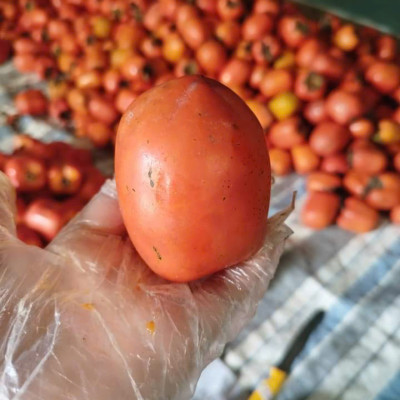 Hồng sấy dẻo Đà Lạt 500g