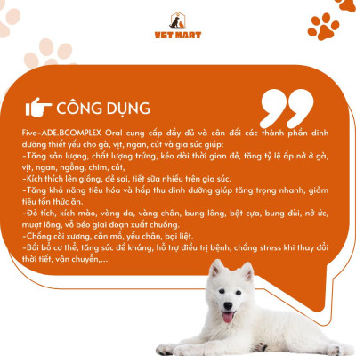 [100ML] FIVE-ADE.BCOMPLEX.ORAL - Chuyên dùng cho trang trại, Đỏ tích, kích mào, đẻ nhiều, vỗ béo, tăng trọng nhanh