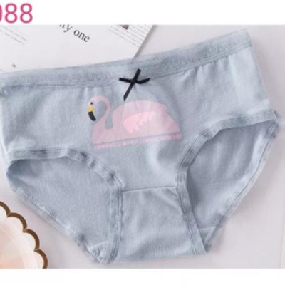 Combo 5 Quần Lót Nữ Cotton Dễ Thương 088 – Mềm Mại, Thấm Hút, Co Giãn