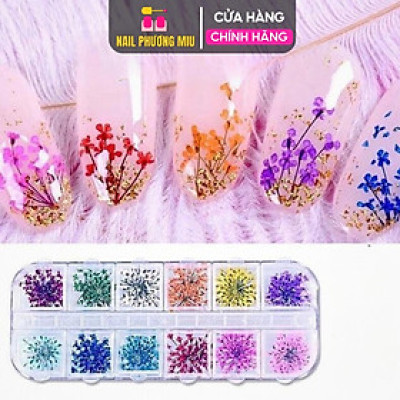 Hoa Khô Chùm Nhỏ Khay 12 Ô Mix MàuTrang Trí Móng Siêu Đẹp Làm Nail Vẽ Nail Nữ Women