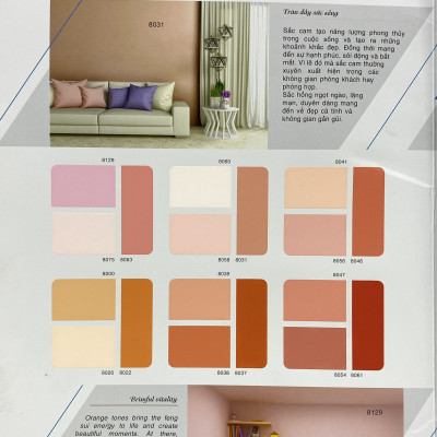 Sơn phào chỉ trong và ngoài nhà Toa 4 Seasons Tropic Shield màu cam C- 8031_1L