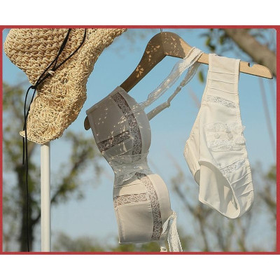 Áo Lót Áo Quây Có Gọng Đệm Mỏng Cúp 1/2 Phong Cách Hàn Quốc Sexy AL34