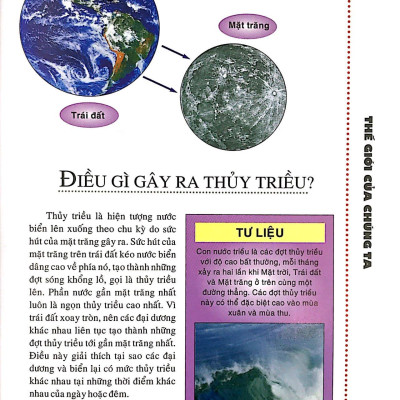 What - Tôi muốn biết cái gì…? (Tái Bản 2016)